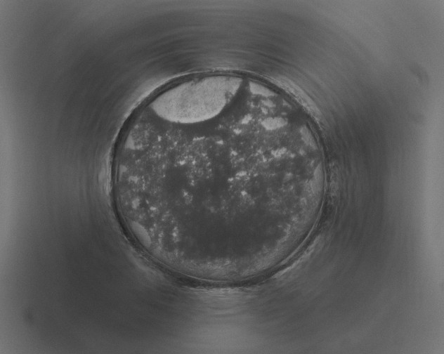 X0000116431031200912291904