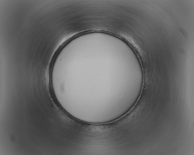 X0000116431032200912291904