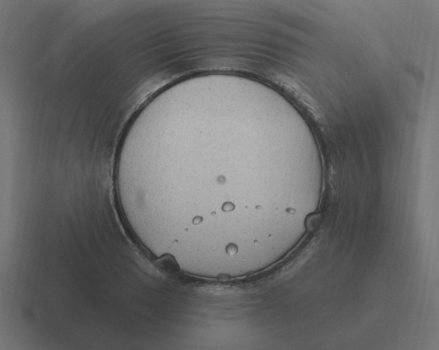 X0000116431033200912291904