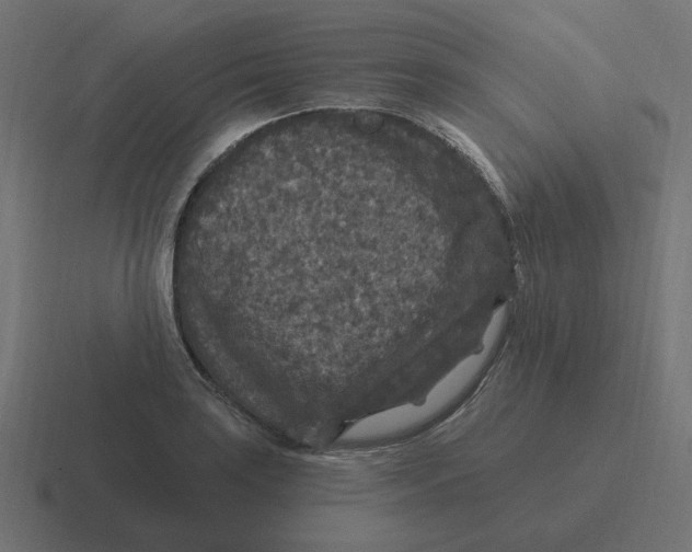 X0000116431035200912291904