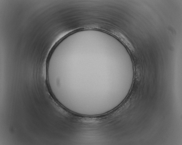 X0000116431036200912291904