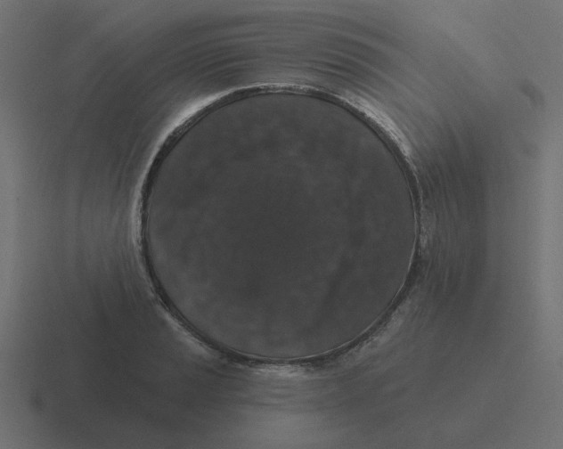 X0000116431037200912291904