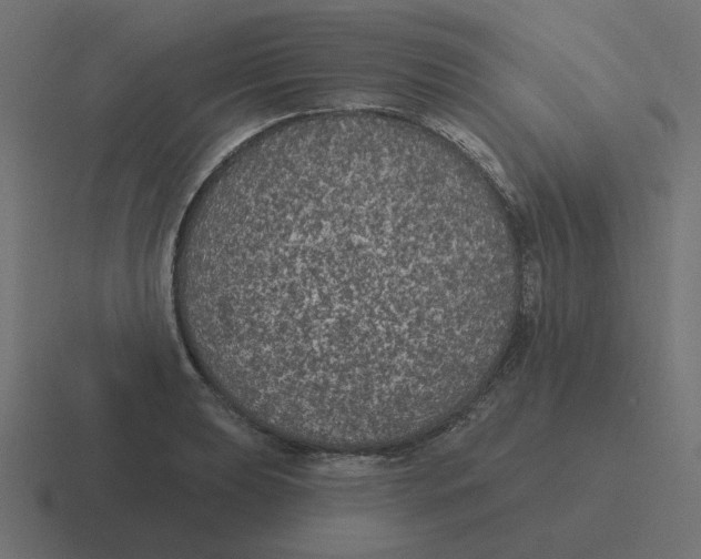 X0000116431039200912291904