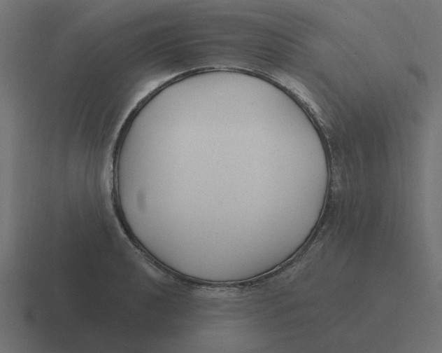 X0000116431040200912291904