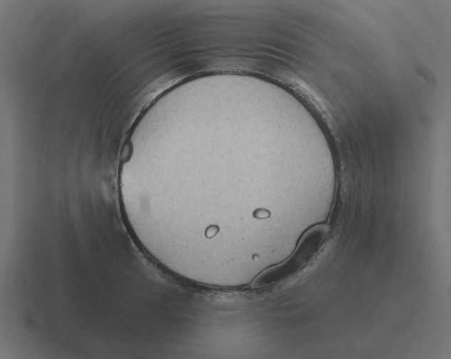 X0000116431041200912291904