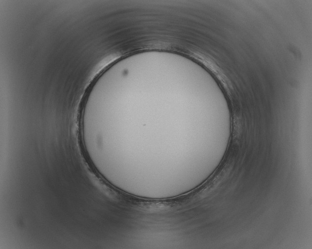 X0000116431042200912291904