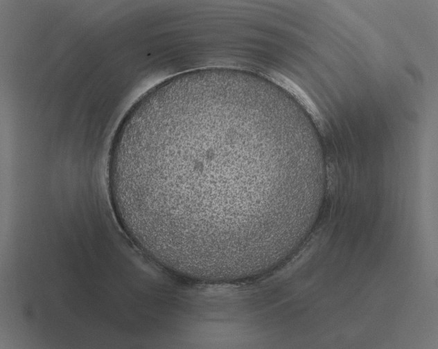 X0000116431043200912291904