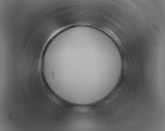 X0000116431044200912291904