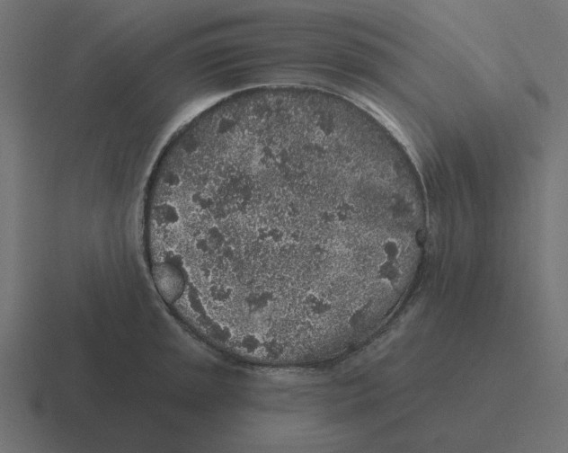 X0000116431045200912291904