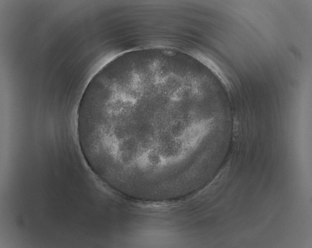 X0000116431047200912291904