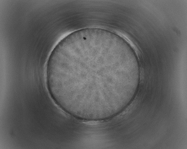 X0000116431048200912291904