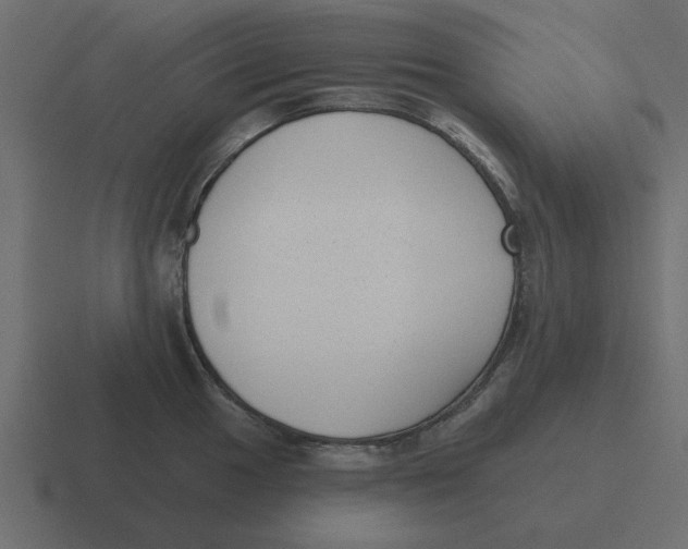 X0000116431049200912291904