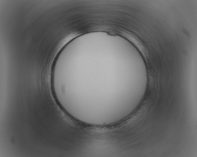 X0000116431050200912291904