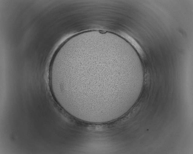 X0000116431051200912291904