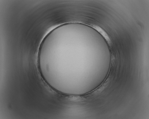 X0000116431052200912291904