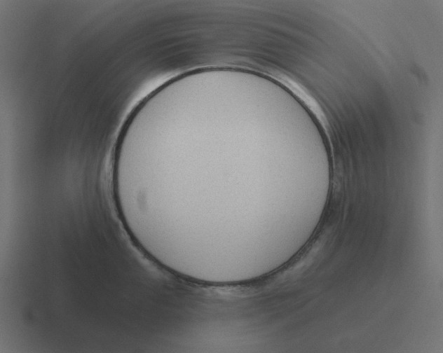 X0000116431053200912291904