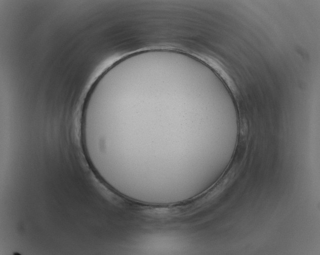 X0000116431054200912291904