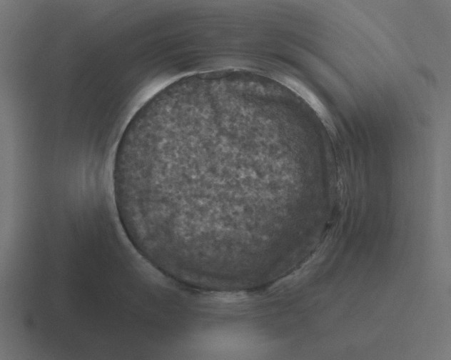 X0000116431055200912291904