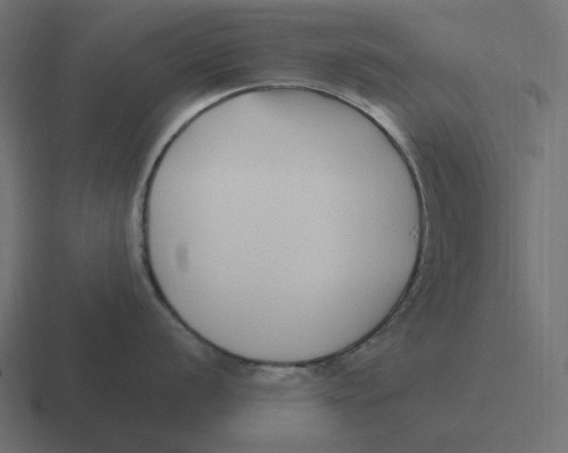 X0000116431056200912291904