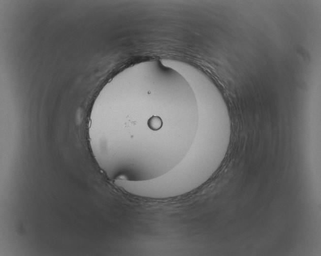 X0000116431057200912291904