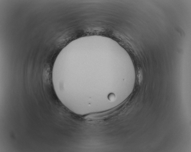 X0000116431059200912291904