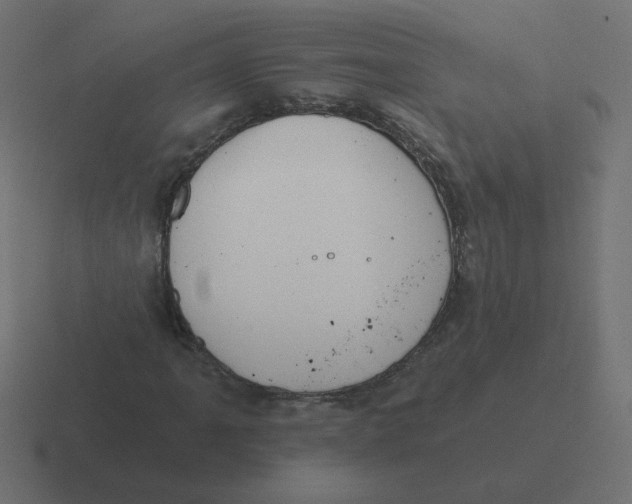 X0000116431061200912291904