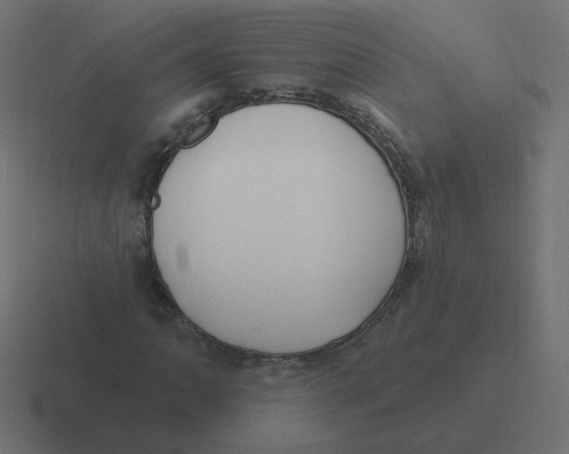 X0000116431062200912291904
