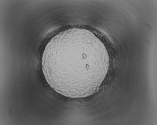 X0000116431063200912291904