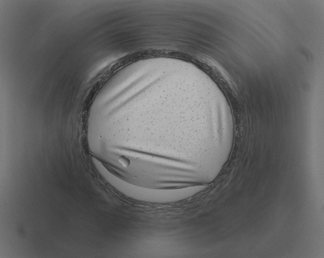 X0000116431064200912291904