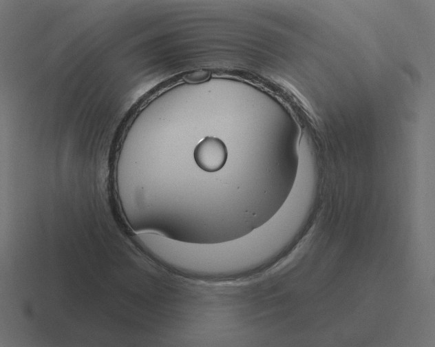 X0000116431065200912291904