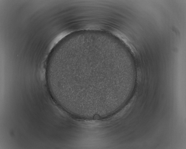 X0000116431066200912291904