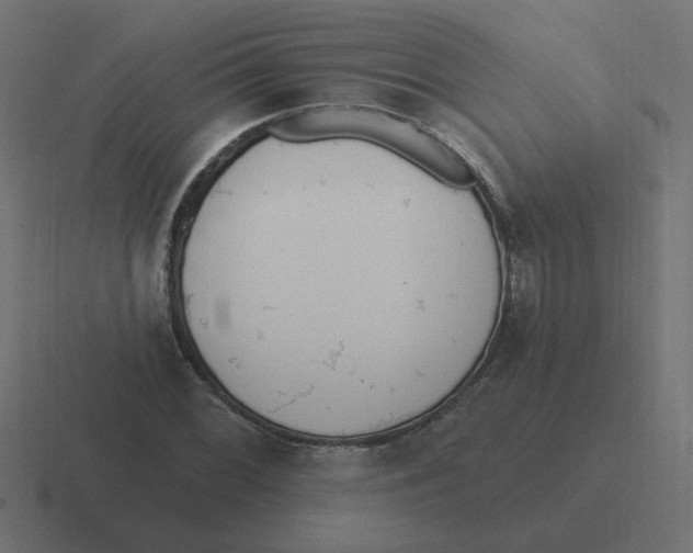 X0000116431068200912291904