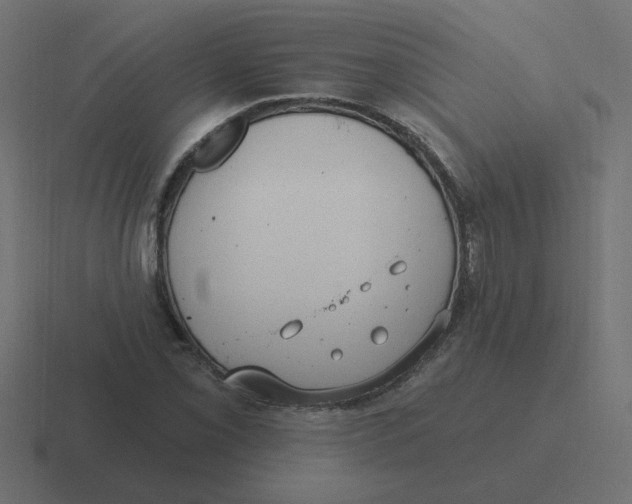 X0000116431069200912291904