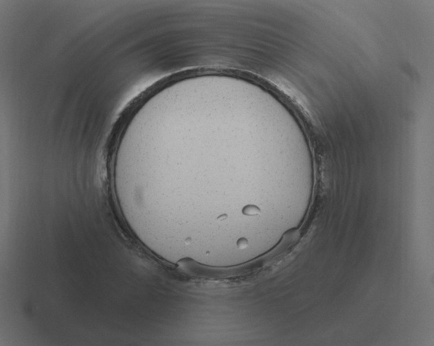 X0000116431070200912291904