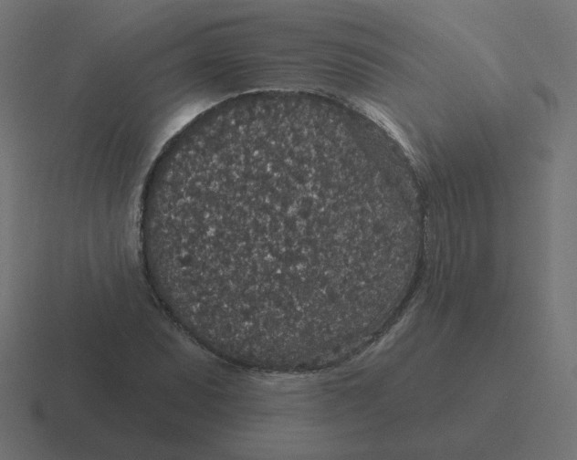 X0000116431071200912291904