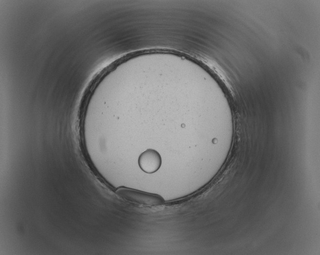 X0000116431072200912291904