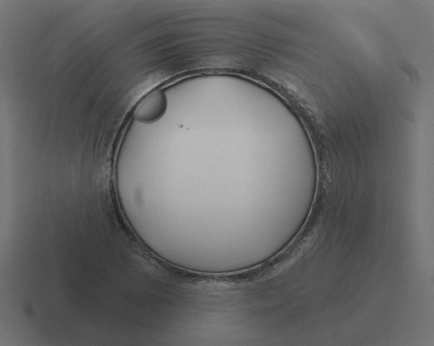 X0000116431073200912291904