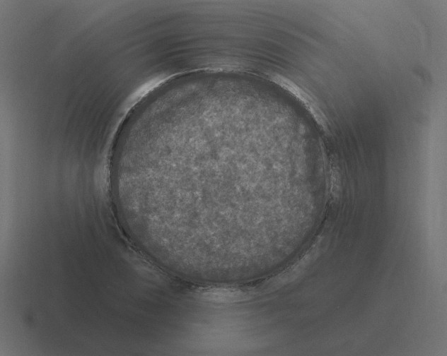 X0000116431074200912291904