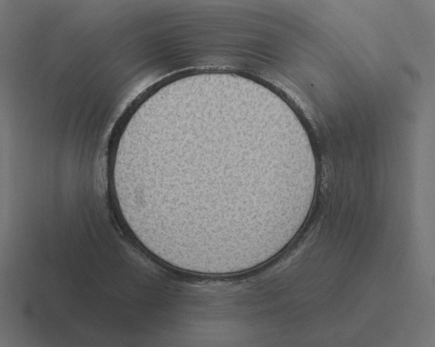 X0000116431075200912291904