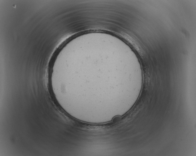 X0000116431076200912291904