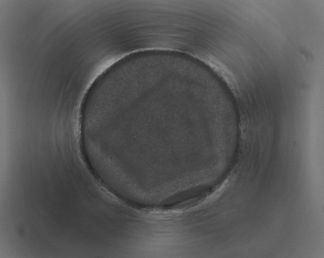 X0000116431077200912291904