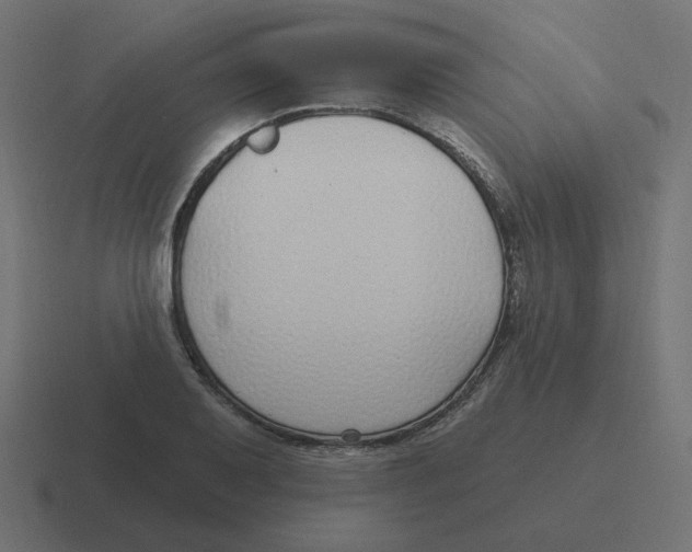 X0000116431079200912291903