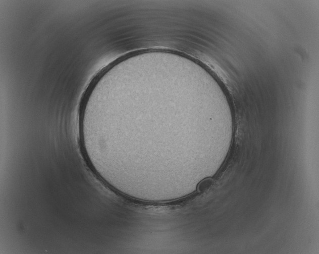 X0000116431080200912291903