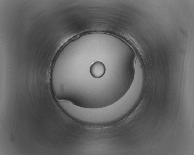 X0000116431081200912291903