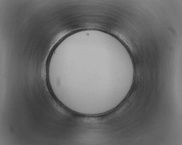 X0000116431082200912291903