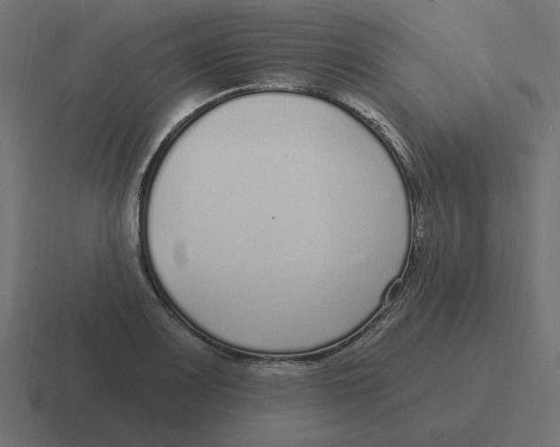 X0000116431083200912291903