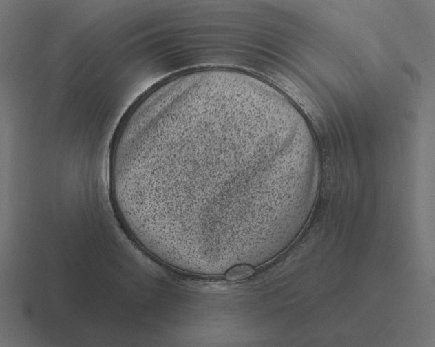 X0000116431084200912291903