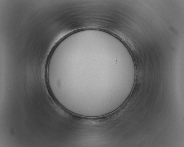 X0000116431086200912291903