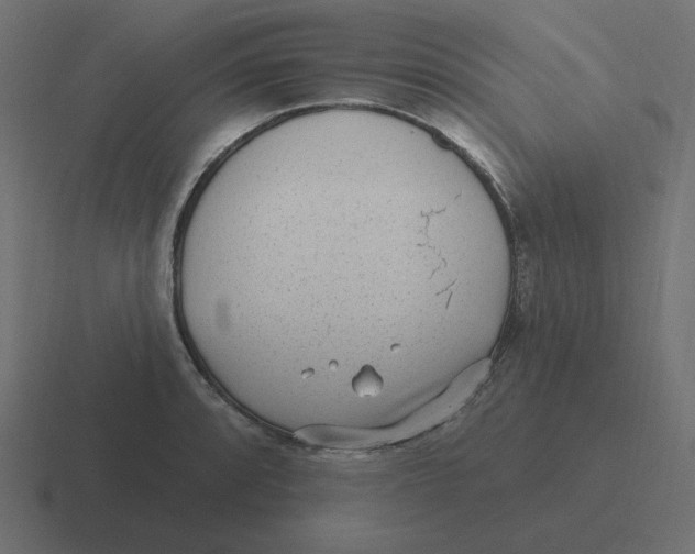 X0000116431088200912291903