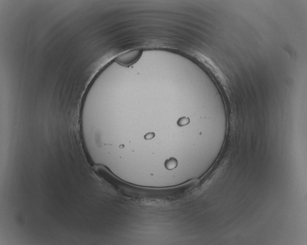 X0000116431089200912291903